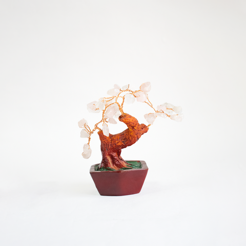 ARBOL CHINO 15*11 AP