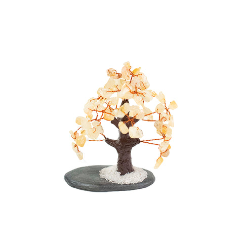 ARBOL ALARGADO CITRINO