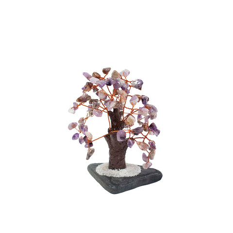 ARBOL DE LA VIDA AMATISTA