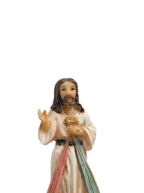 SEÑOR DE LA MISERICORDIA