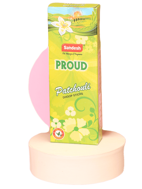 INCIENSO DHOOP STICK PROUD